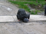 Kliknutím se fotka zvětší